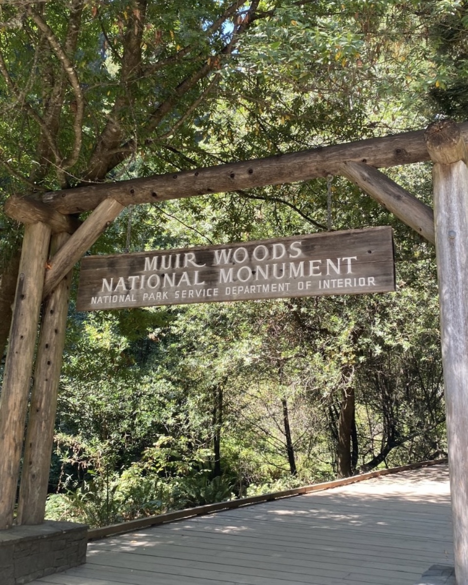 Muir Woods: How to Enjoy 1 Fun Day Visiting the Redwoods